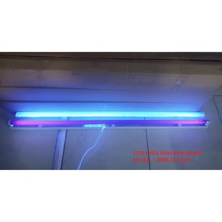 (SALE) Bộ đèn thu hút côn trùng UVA Philips dài 1.2m 36W