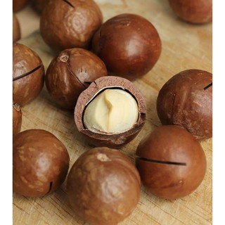 Hạt Mắc Ca Úc Nứt Vỏ 500g