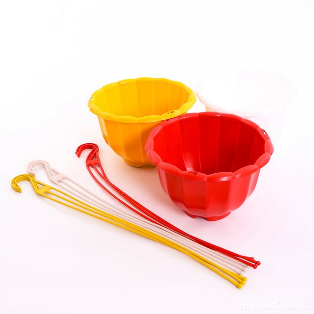 combo 100 chậu nhựa treo bí