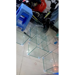Hồ Cá Cảnh 20. 20.20