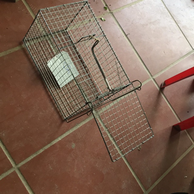 BẪY LỒNG CÁO TO BỰ 2 cỡ