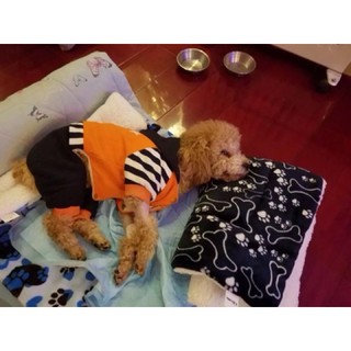 Tấm lót vệ sinh cho thú cưng🐶🐱🐰 [Real]