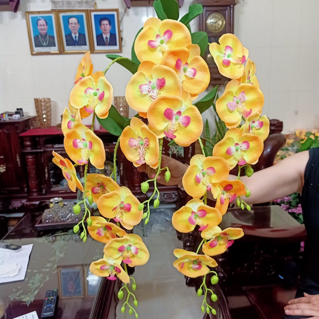 Hoa Giả - Giò Lan Hồ Điệp Treo Tường Trang Trí Nhà Cửa Phòng Khách - Hoa Treo Tường | Hà Hoa Flower