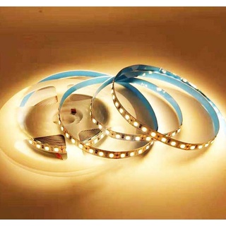 Led dây dán 12v 2835 120led/m ánh sáng trắng vàng ấm trung tính