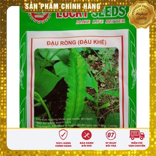 Hạt giống đậu rồng ( đậu khế)