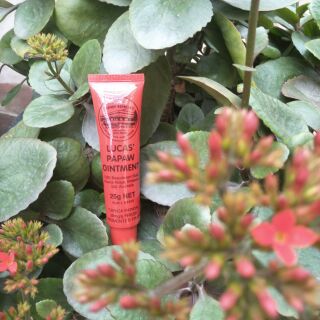 Kem dưỡng đa năng lucas pawpaw 25gr