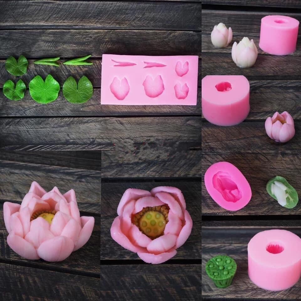 BỘ KHUÔN SILLICON HOA SEN THÁI