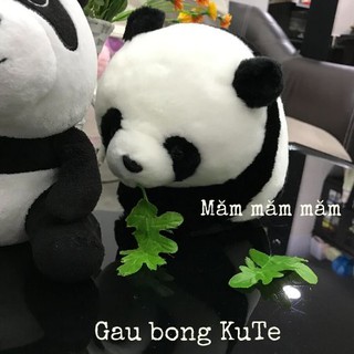 BST - Gấu trúc