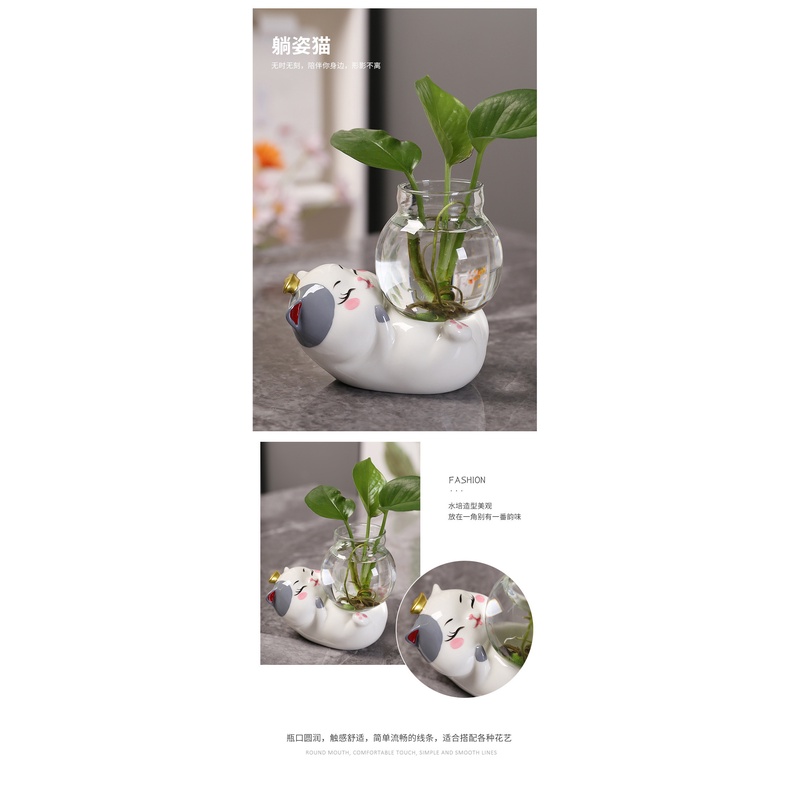 Lọ Hoa Thủy Canh Hình Mèo May Mắn Sáng Tạo Trang Trí Phòng Khách Mới