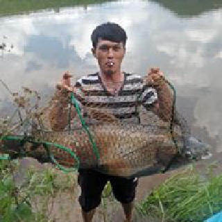 Mồi câu cá(thính lk)