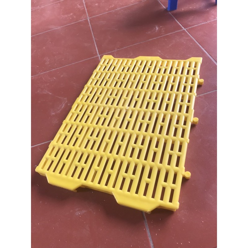 Sàn nhựa lót sàn cho chó mèo lợn gà