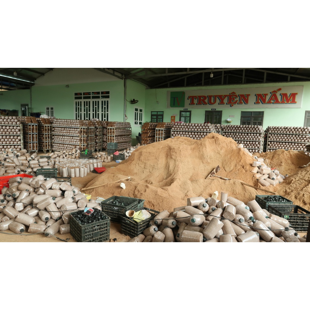 Nấm Linh Chi Đỏ Việt Nam Loại 500gr  giá 349k