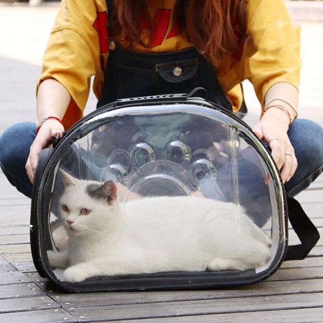 Túi vận chuyển chó mèo cao cấp Eva