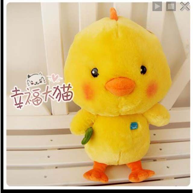 Vịt con cho bé yêu