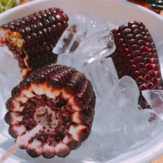 🌽🌽🤗BẮP NỮ HOÀNG ĐỎ🌽🌽😍