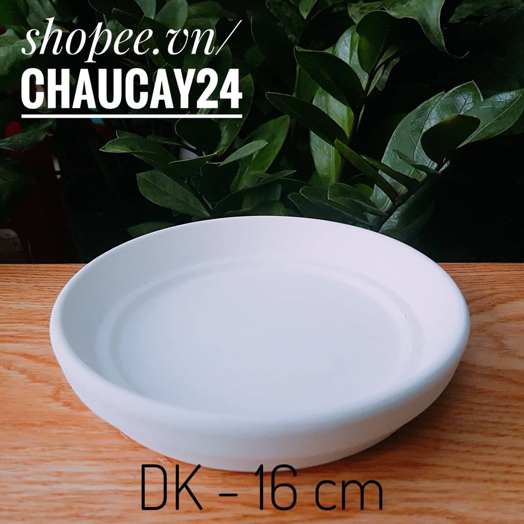 Dĩa lót chậu đất nung lớn đường kính 16 cm trồng sen đá, xwong rồng, cây cảnh mini