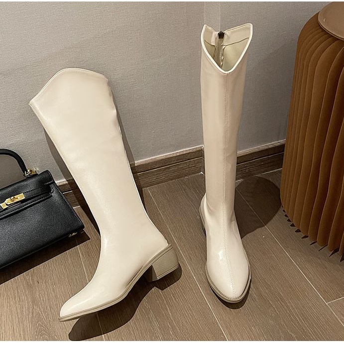 Bốt đùi cao cổ nữ WOMENSTORY boots khóa sau da mềm mũi nhọn đế vuông 4.5 cm thời trang mùa đông 3 màu S36