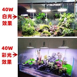 Đèn Led chụp kẹp thành bể XIMA