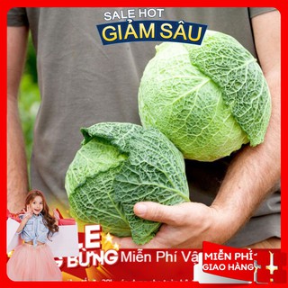 Hạt giống bắp cải nhăn - 30 hạt / gói