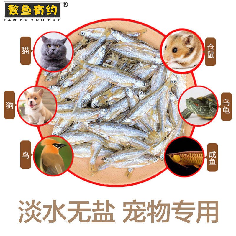 Pet Snack Cá Mèo khô Đồ ăn nhẹ Không có muối Muối, Làm đẹp, Mỡ tóc, Thức ăn cho mèo, Chó, Chuột, Rùa, Chim, Thịt