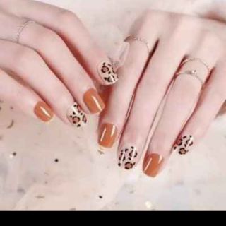 Set móng tay giả gồm 3 bộ khách đặt
