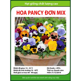 Hạt giống hoa Pancy đơn mix