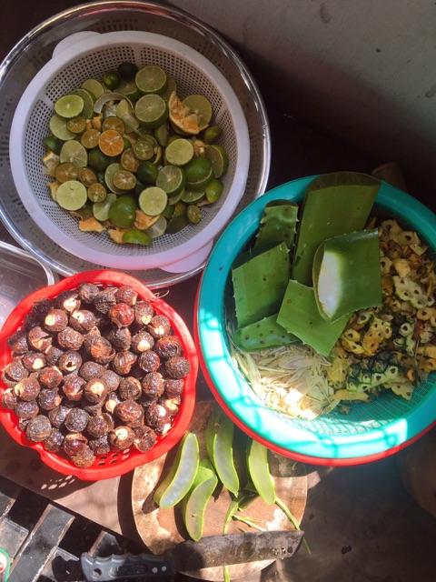 BỒ HÒN TÁCH HẠT