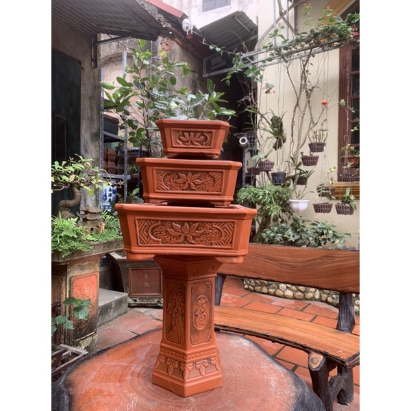 Chậu chữ nhật trồng cây bonsai và đôn kê chậu