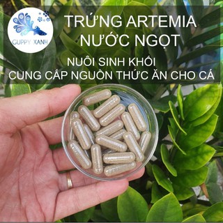 Artemia nước ngọt - Dạng viên nọng - artemia nuôi sinh khối - Guppy Xanh