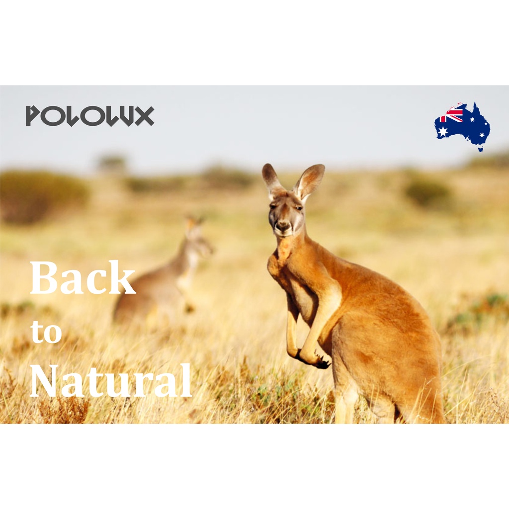 Áo thun nam 100% cotton Australia hiệu POLOLUX | BigBuy360 - bigbuy360.vn