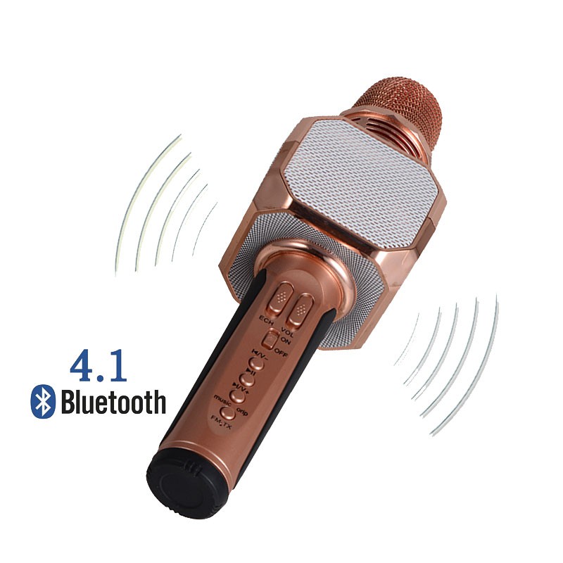 Micro Karaoke Kiêm Loa Bluetooth SD-10 Chính Hãng-Freeship