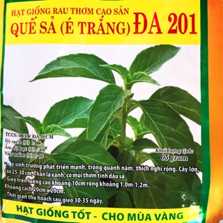 Combo 10 gói hạt giống rau é trắng quế sả loại tốt mỗi gói 5g