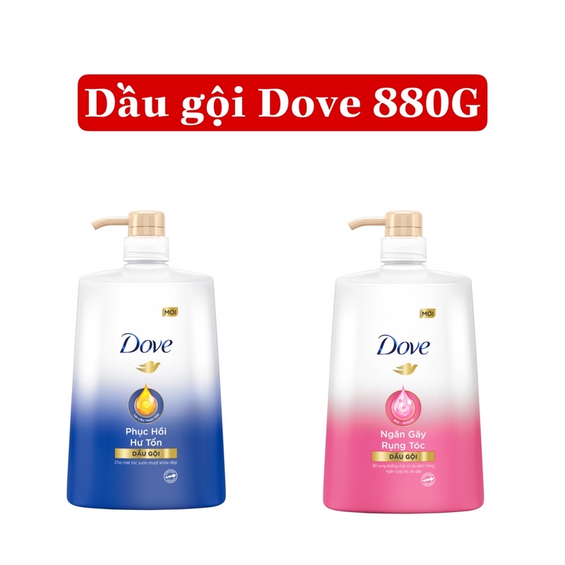 Dầu gội Dove 880G Phục hồi hư tổn/ Ngăn gãy rụng