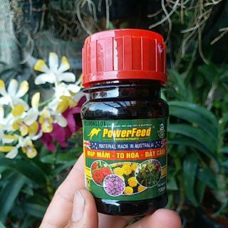 Phân bón Powefeed mập mầm, hoa to