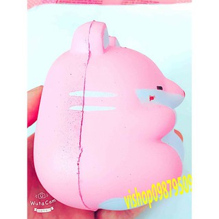 [CÓ VIDEO] SQUISHY CHUỘT HAMSSTER Ú TRÒN NGỒI