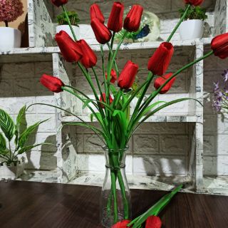 Hoa tulip lụa cành 5 bông