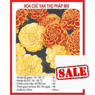 Gói 50 hạt giống cúc vạn thọ pháp SALE