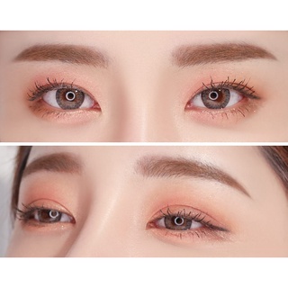 CỌ ĐÁNH PHẤN MẮT HAI ĐẦU MÚT XỐP