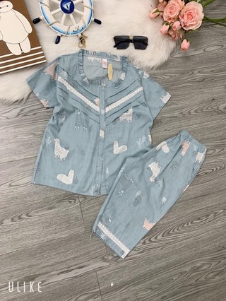 Bộ thô mặc nhà cho nữ TTLTH110195