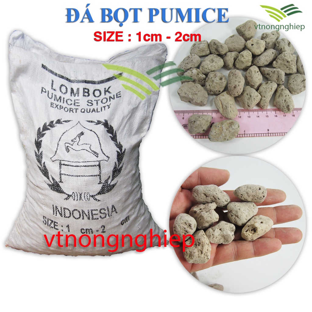 Đá Pumice Indonesia Premium, gói 500g, Size 1-2cm, 5-8mm, 3-6mm, trộn đất trồng sen đá, xương rồng, hoa hồng, kiểng lá