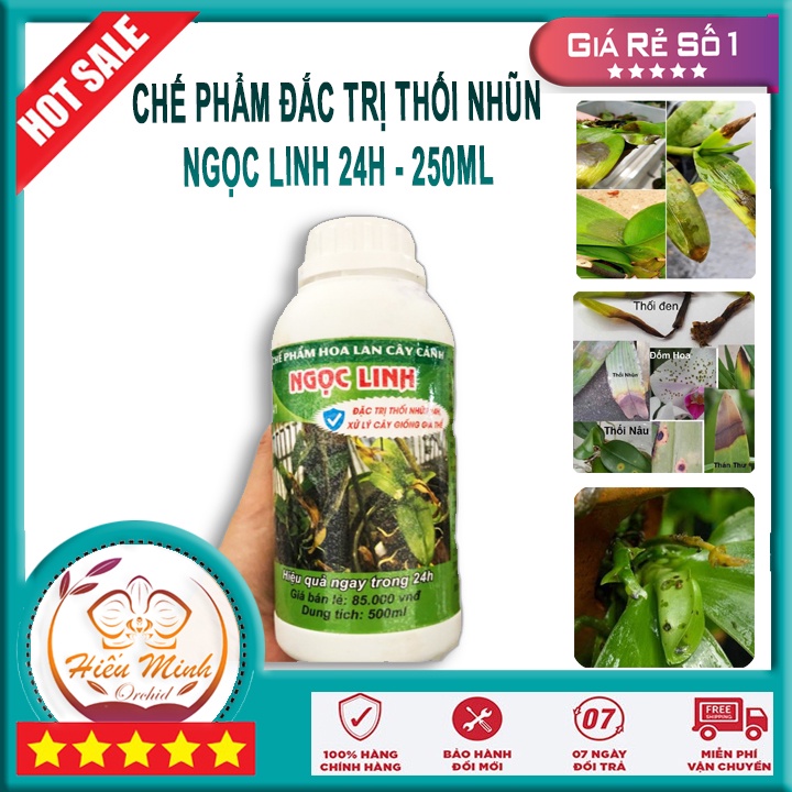 Ngọc Linh 24h Chế phẩm trị thối nhũn cho Phong Lan chai 500ml loại TỐT Làm cây cảnh và hạt giống, Bền, Đẹp, Lá, Xanh