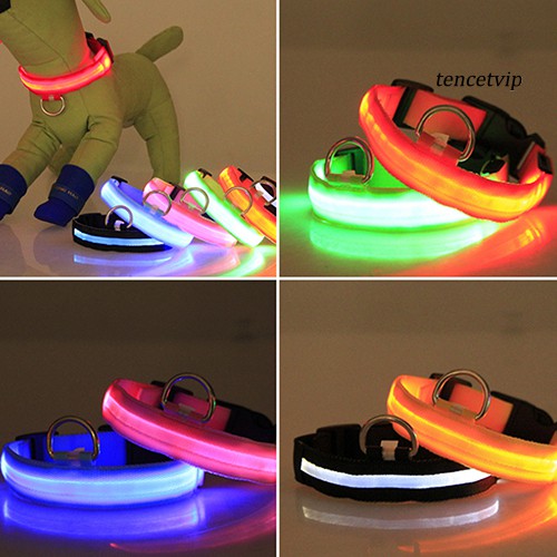 Vòng cổ đèn LED đeo cổ cho thú cưng độc đáo