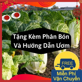 Hạt Giống Rau Cải Thảo