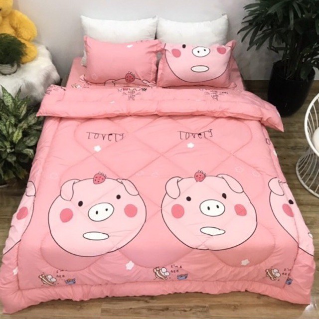 Bộ 5 ga gối và chăn phao poly cotton chần bông dày loại 1 mềm êm được chọn mẫu | BigBuy360 - bigbuy360.vn