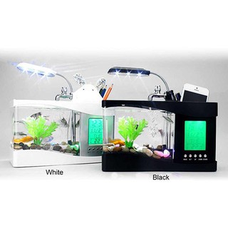 Bể cá mini để bàn làm việc full 7 món cao cấp