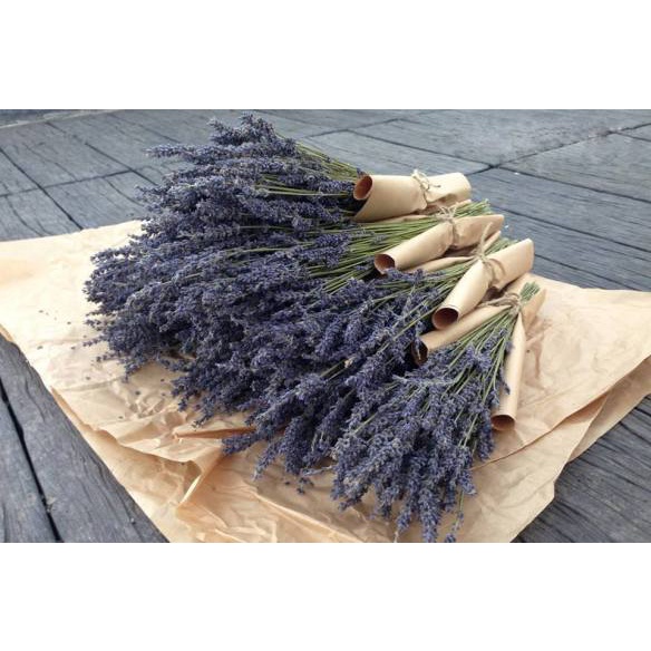 [Quà Tặng] Cành Lavender Khô Quà Tặng Kèm Trang Trí Bàn Học, Decor Phòng Khách Của Mê Thảo Flower