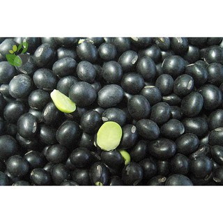 Gói 5Hạt đỗ đen xanh lòng trồng bãi (giống đỗ rất đen và bở)