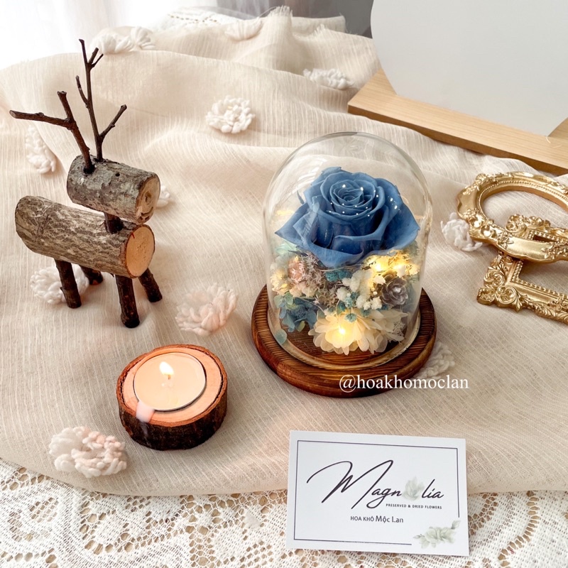 Chụp thuỷ tinh đế gỗ hoa hồng bất tử, quà tặng giáng sinh, phụ kiện chụp ảnh sản phẩm, decor trang trí bàn trang điểm