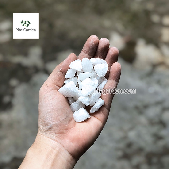 (500gr) Sỏi tự nhiên màu trắng size 1.5 - 2.5cm rải gốc chậu cây trang trí bể cá Nia Garden N6
