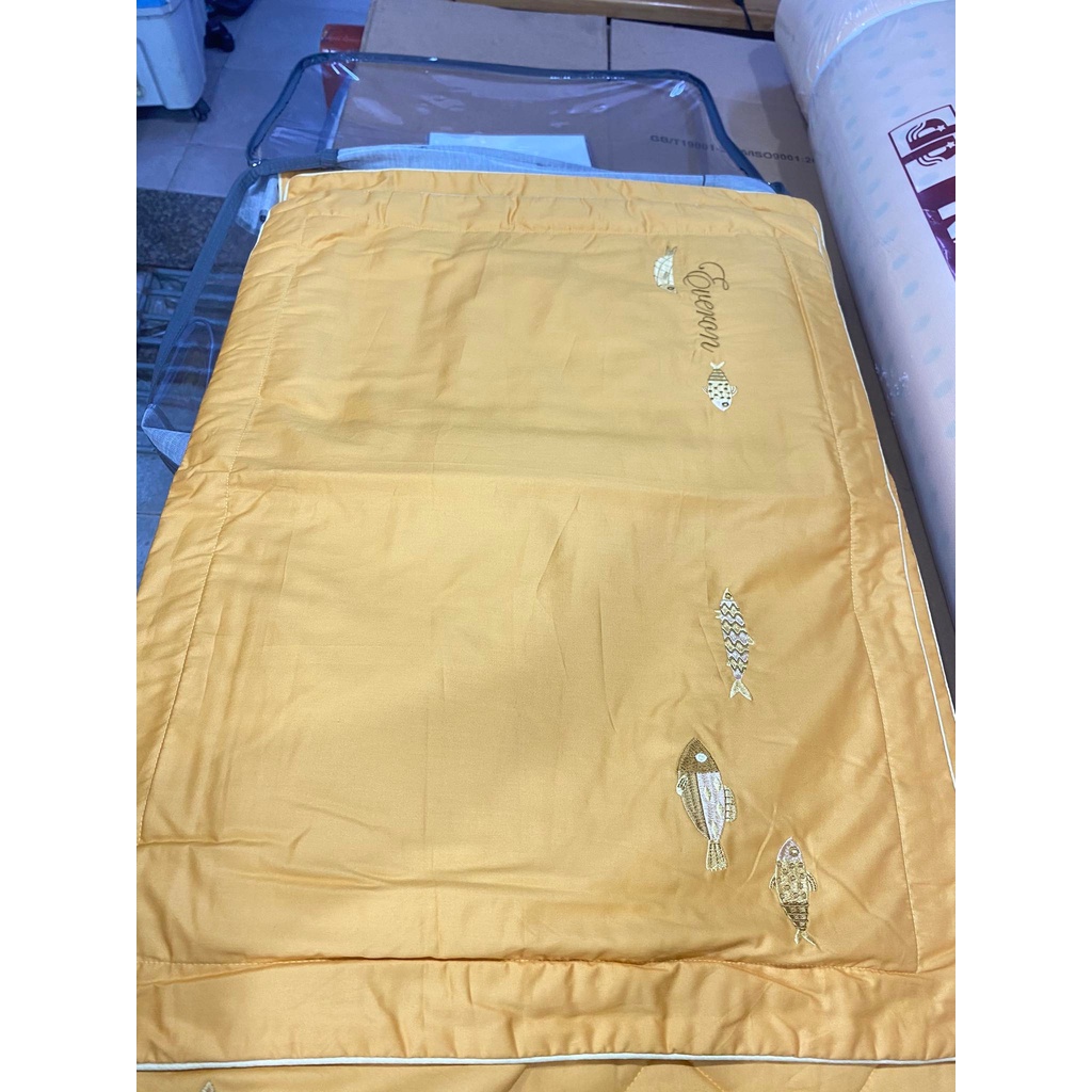 Bộ Drap chun chần EVERON MDSC048